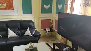 TV, fireplace, video library