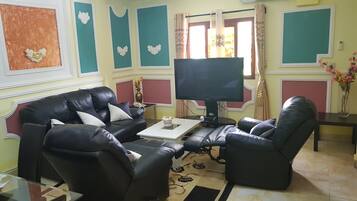 Télévision, cheminée, vidéothÚque