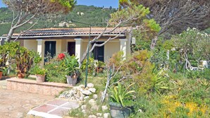 A Mediterranean-style villa with a tiled roof, surrounded by lush greenery and a stone pathway.