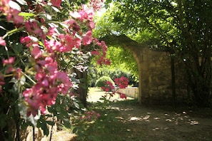 Property grounds - Character house, 15 pers, 7 bedrooms, swimming pool, organic farm, park. (Saint-Pierre-lès-Nemours)
