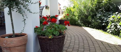 Terrain de lâhĂ©bergement