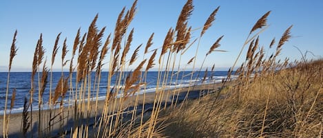 Vlak bij het strand