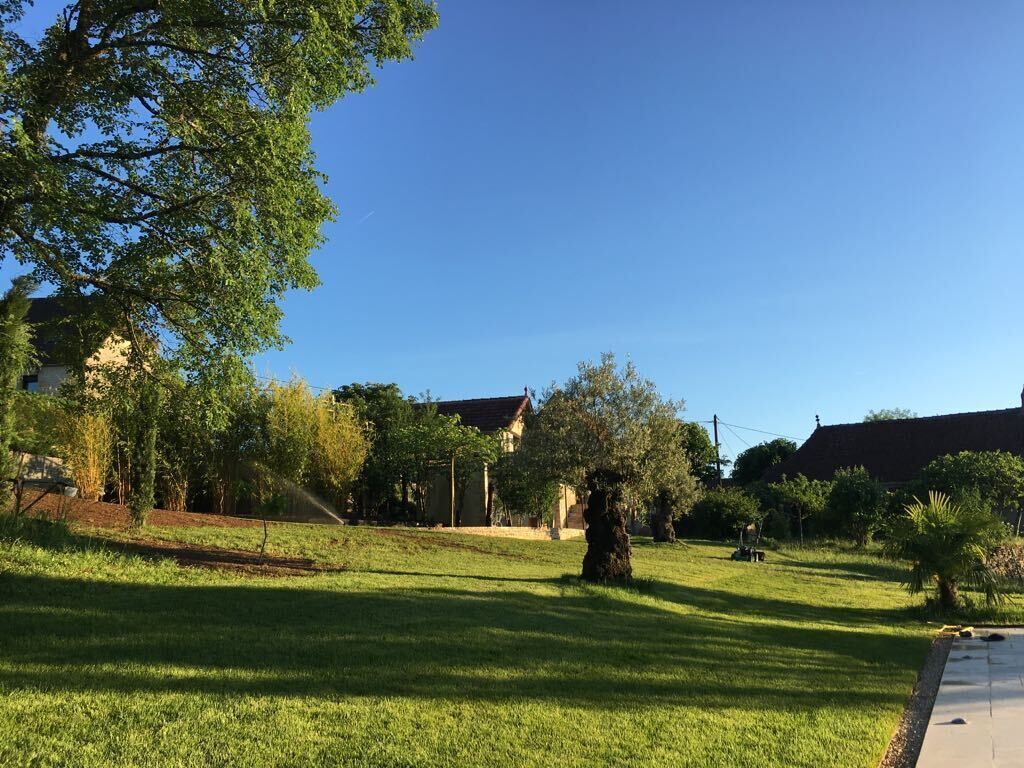 A grassy area with trees and a building in the background.