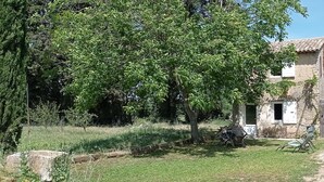 A rustic outdoor area with a tree, a small building, and a chair.