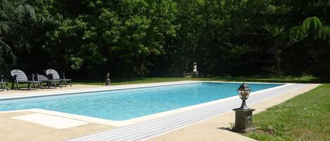Ein rechteckiger Swimmingpool mit Fliesen umgeben, von üppigen, grünen Bäumen gesäumt.