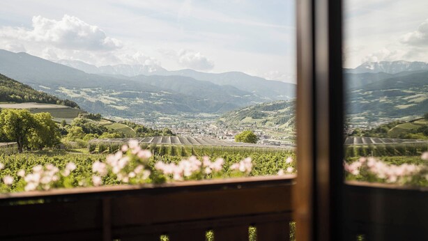 A view of a vineyard with mountains in the background. - Vineyard apartments with magnificent view and Brixen South Tyrol Guest Pass (Raas)