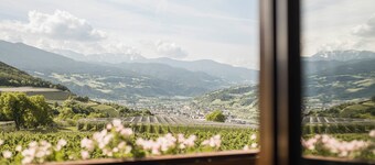 Vineyard apartments with magnificent view and Brixen South Tyrol Guest Pass