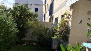 A courtyard with a grassy area, a tree with yellow fruits, and a building with blue shutters. - Apartment 150 m beach with garden and garage (llança)