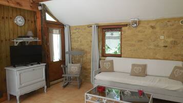 Télévision, cheminée, lecteur de DVD, table de tennis de table