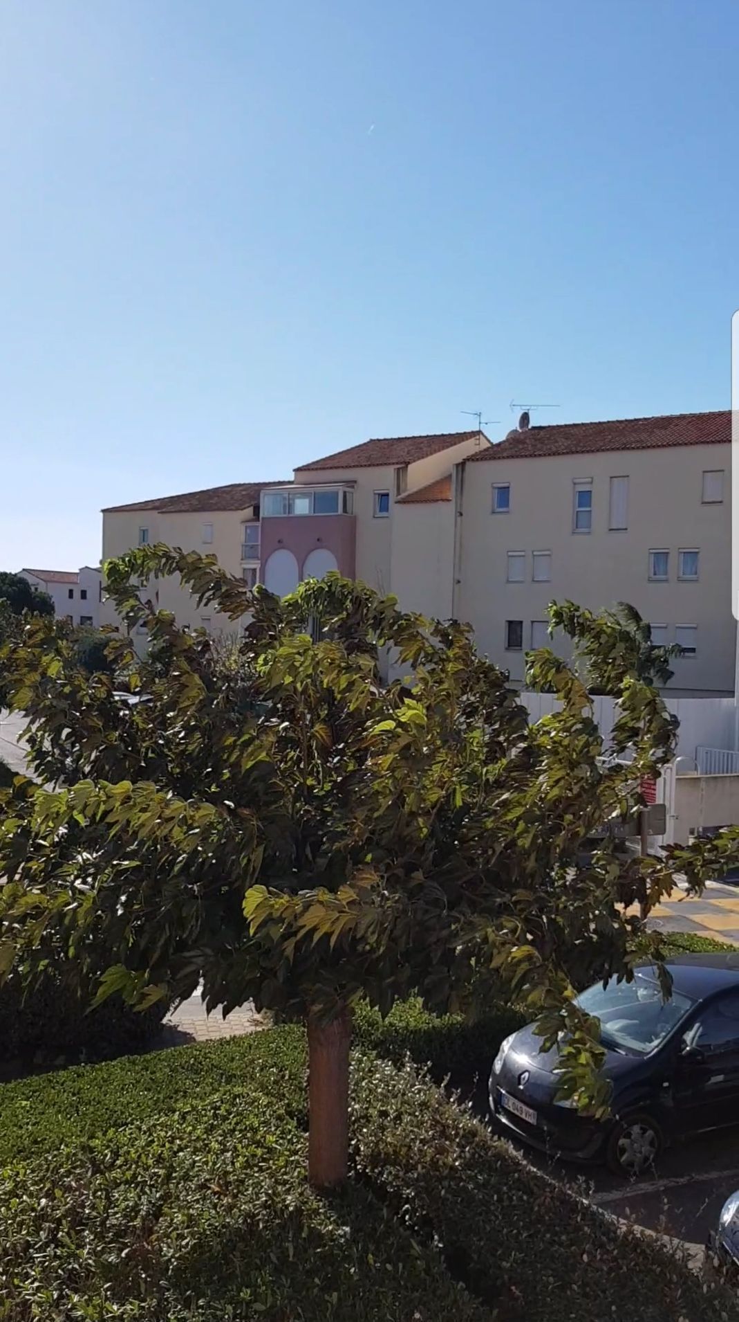 A residential building with multiple windows and balconies, surrounded by greenery and parked cars.