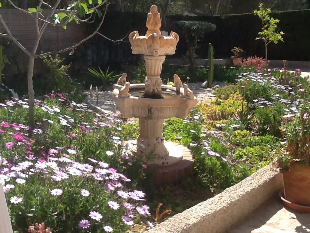 Un giardino con una fontana al centro, circondato da fiori e piante diverse.