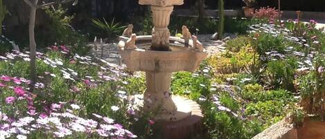 Un giardino con una fontana al centro, circondato da fiori e piante diverse.