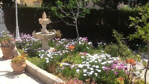 A garden with a fountain, various potted plants, and a hedge in the background.
