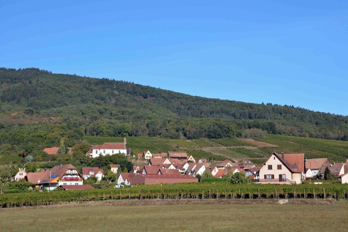 Un pueblo rural con casas tradicionales, viñedos y una colina boscosa al fondo.