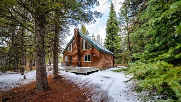 A log cabin with a steeply pitched roof, surrounded by dense evergreen trees and a snow-covered ground.