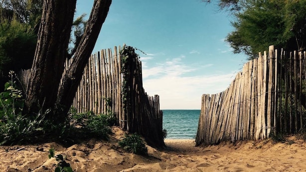 Una playa arenosa con una valla de madera que da al mar.