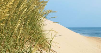Dog Friendly Oceanview Home Just Steps from Rodanthe Fishing Pier