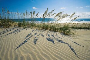 Plage à proximité