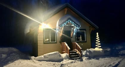 Talkeetna’s Mount Dall Cottage - WiFi&laundry - easy access from Parks Highway!