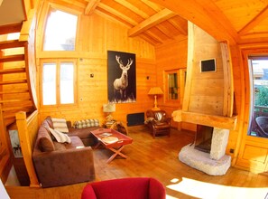 TV, fireplace, DVD player, books