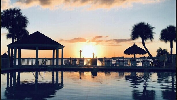 Escena frente al agua con un pabellón, palmeras y un atardecer.