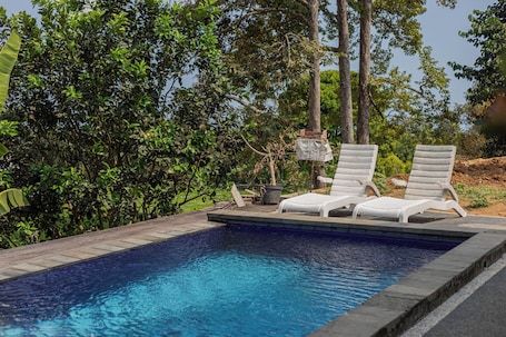 Outdoor pool, sun loungers