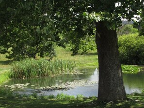 Property grounds - Heron View Room at Carousel Bed and Breakfast (Russell)