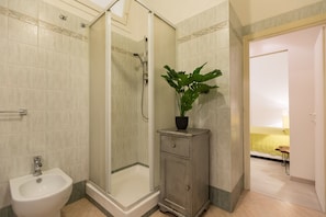 Shower, hair dryer, bidet, towels