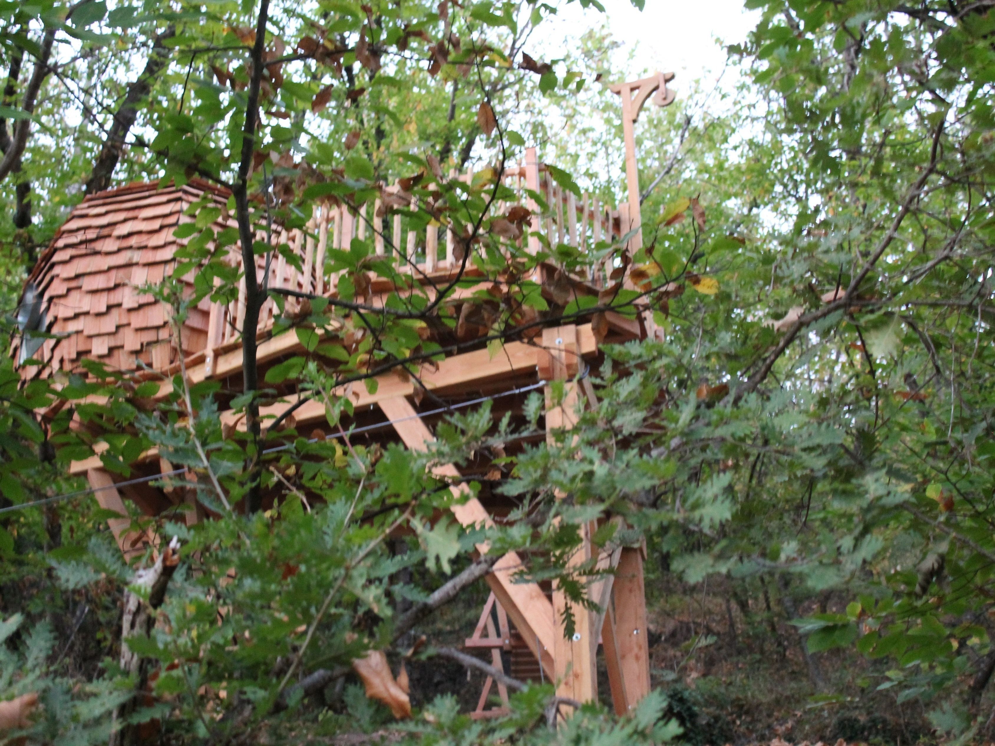 A wooden treehouse with a sloped roof, surrounded by dense foliage.