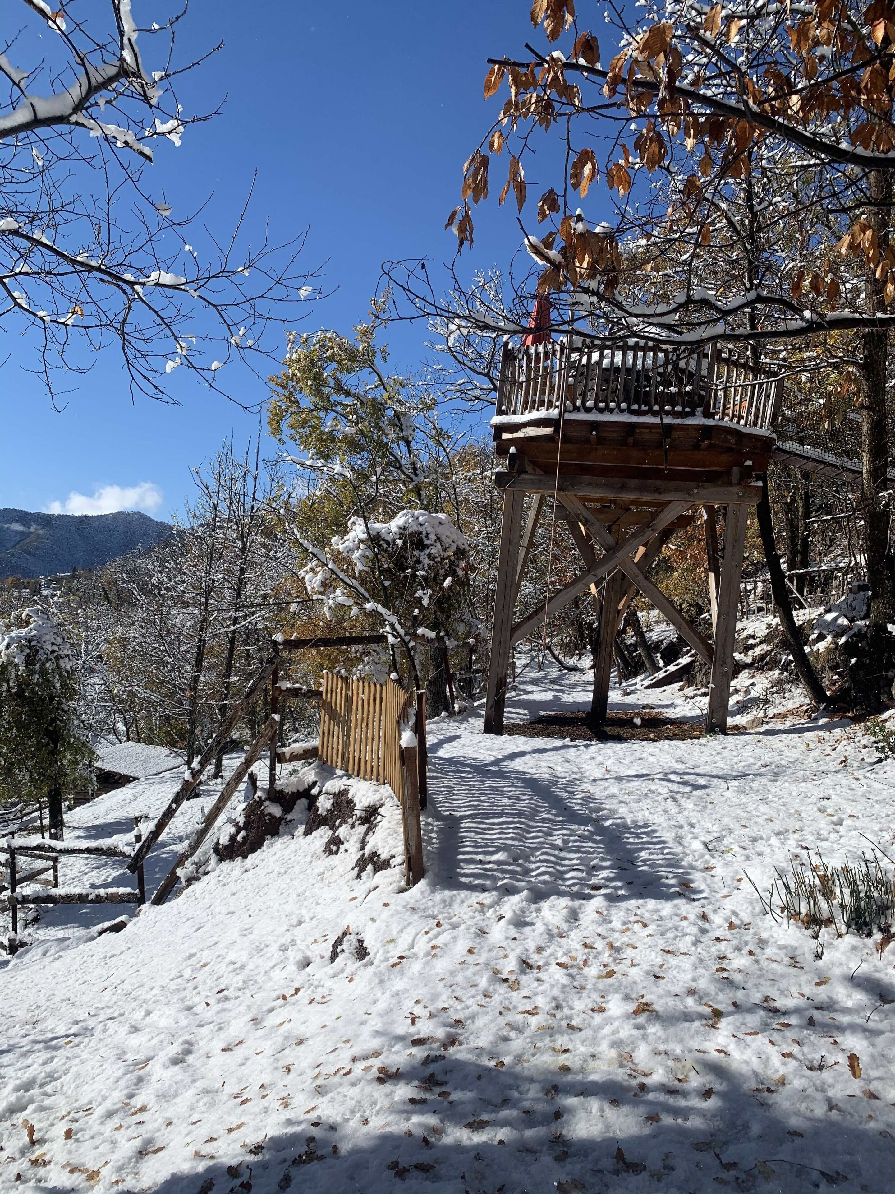 A wooden deck with a railing, surrounded by snow-covered trees and a clear sky.