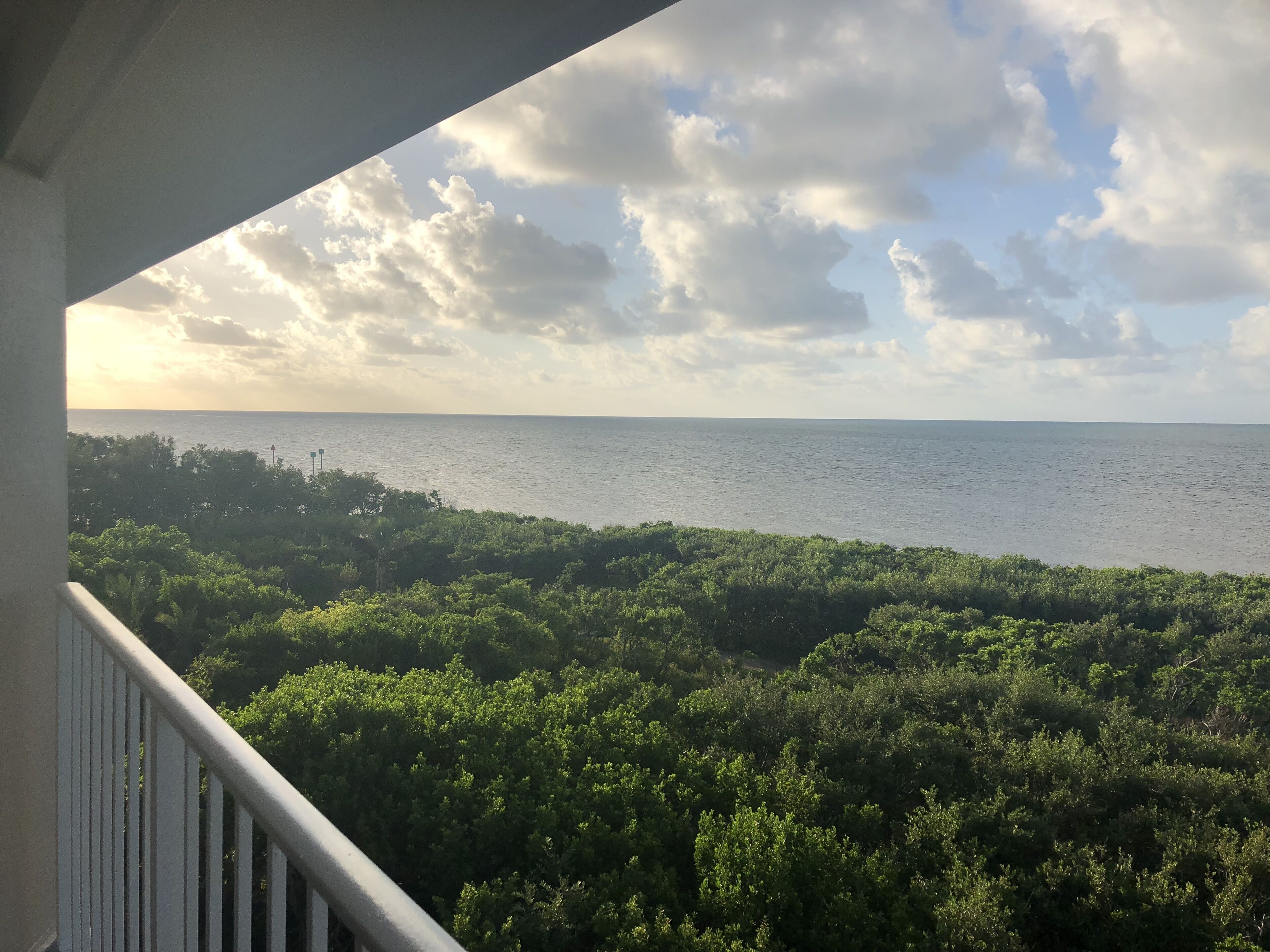 STAY SALTY! 🦞🐬Amazing Ocean Views! 