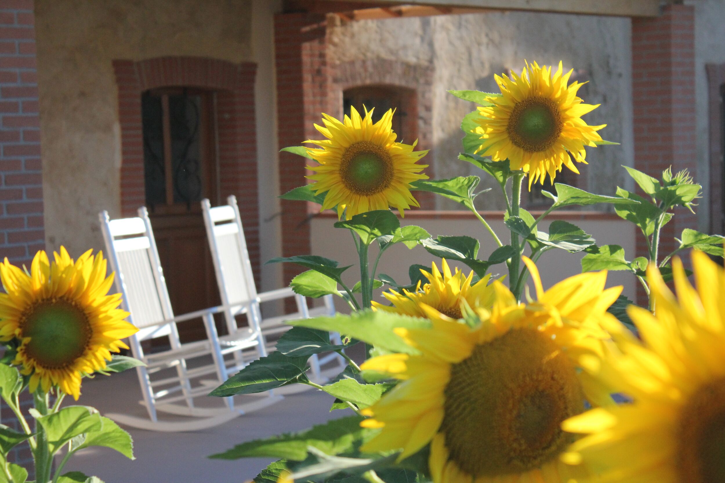 En Rouger, Le Tournesol gîte (3or4 bedrooms, air conditioned, heated pool,sauna)