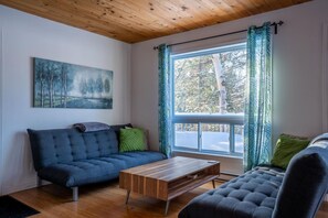 TV, DVD player, books