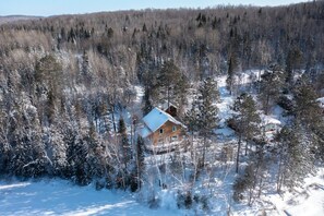 En hytte omgivet af tæt skov med snedækket jord.
