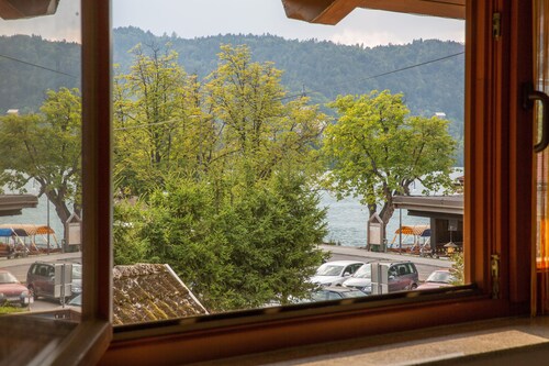 Ausgeblutete Honigbiene Wohnung Seeblick