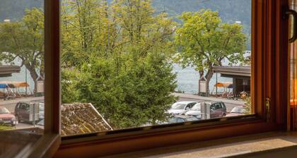 Ausgeblutete Honigbiene Wohnung Seeblick