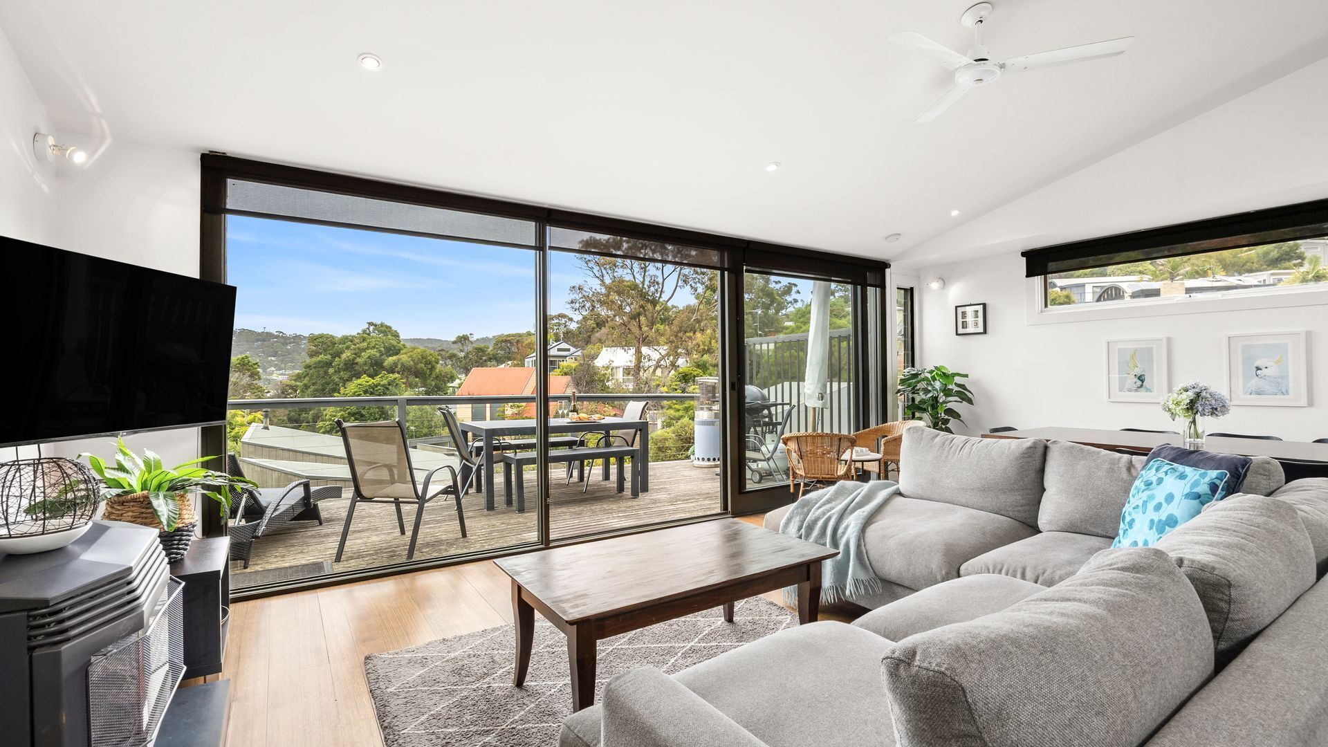 TV, fireplace, books