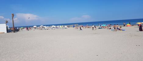 ビーチの近く、サンラウンジャー