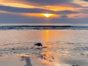 Beach nearby - Seaglass Village Wells #426. 2 bedrooms 1.5 baths. Could Sleep 6.Near Clubhouse (Wells)