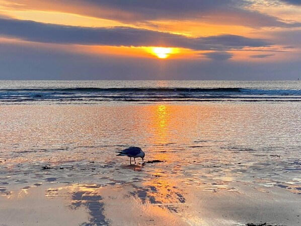 Beach nearby