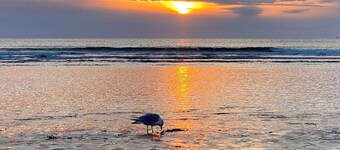 # 426 Seaglass Village Resort. Svært nær alle fasiliteter og klubbhus!