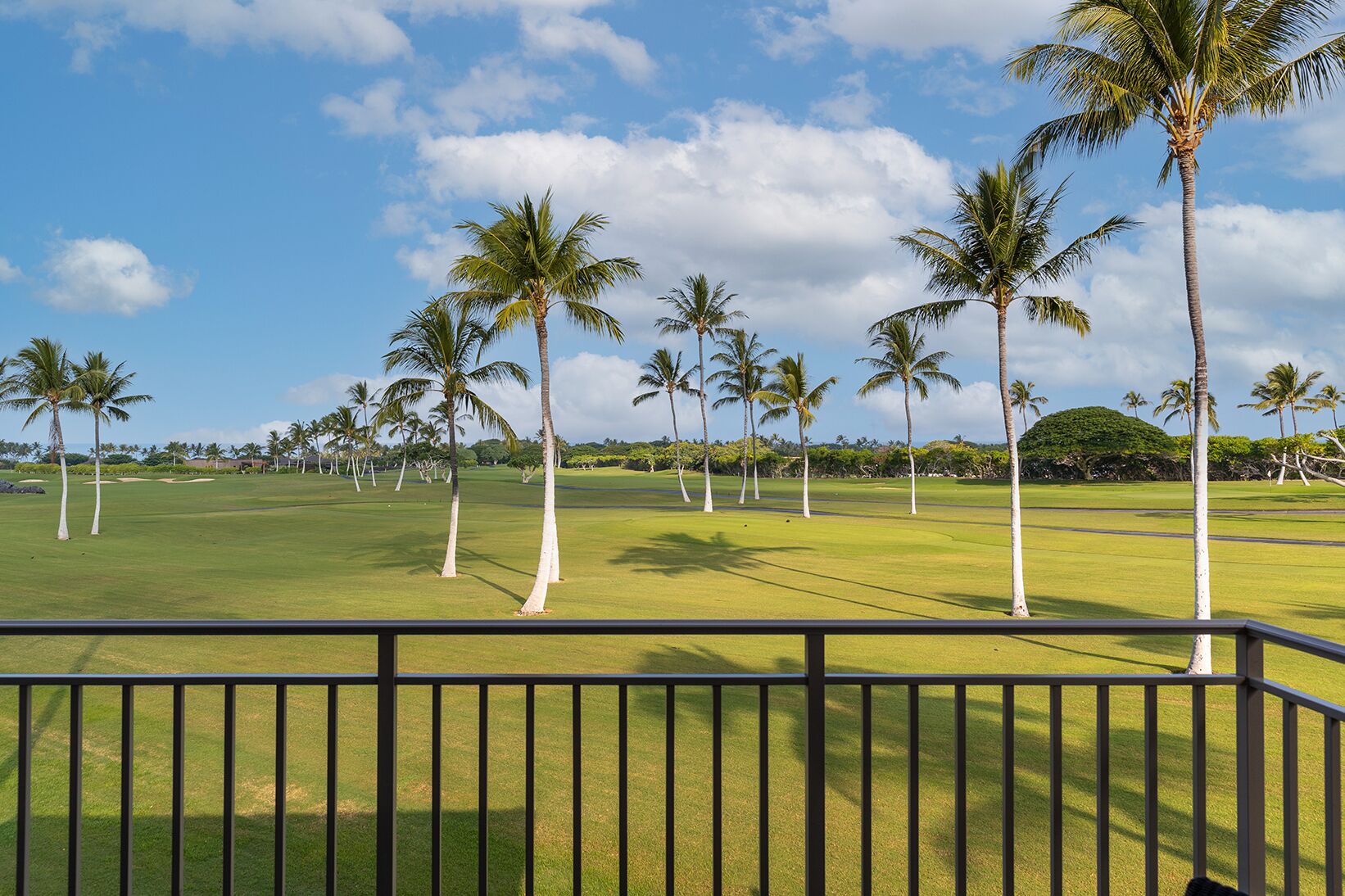 A golf course with a clear sky, palm trees, and a well-maintained lawn.