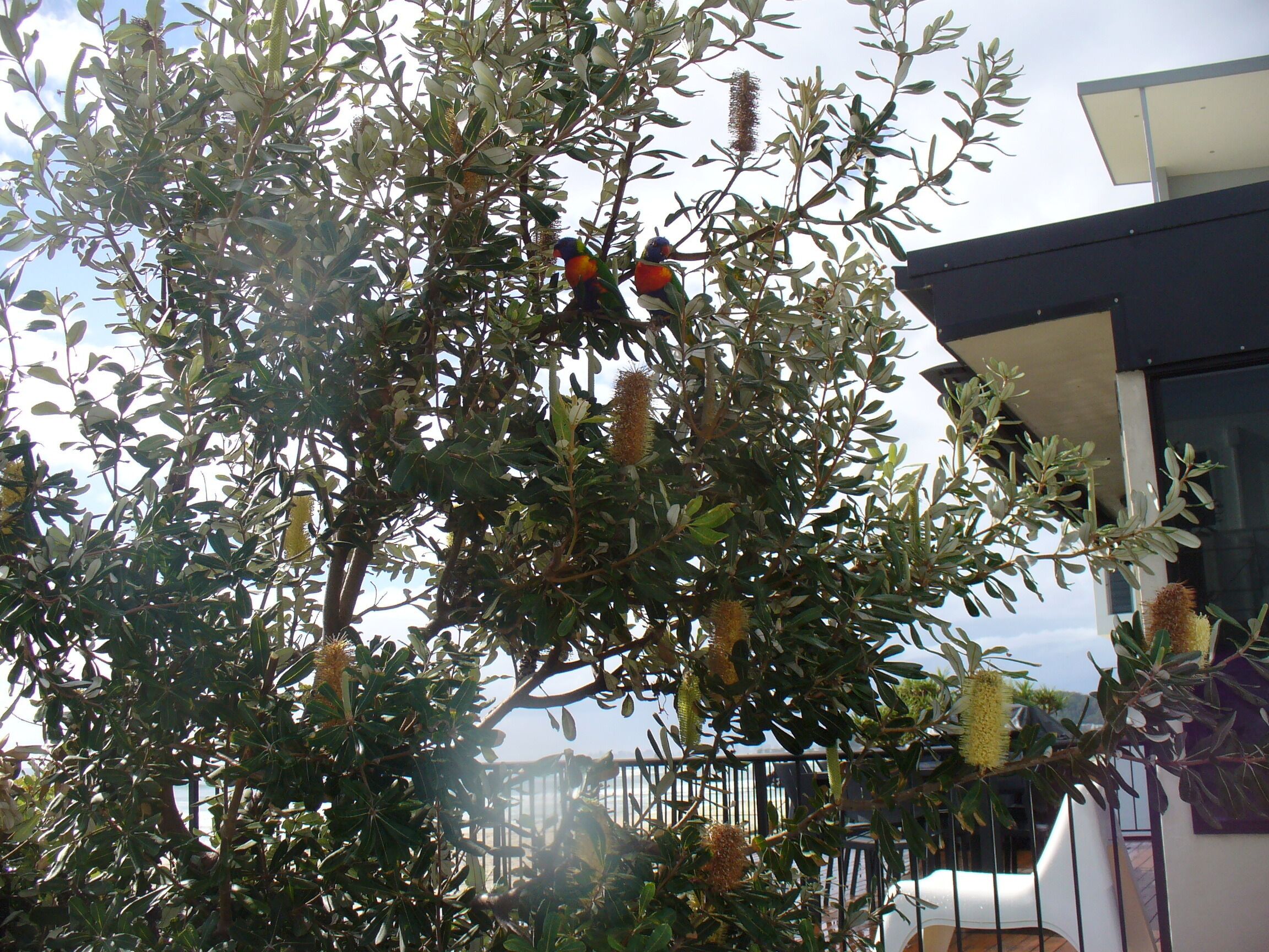 Holiday house by the beach