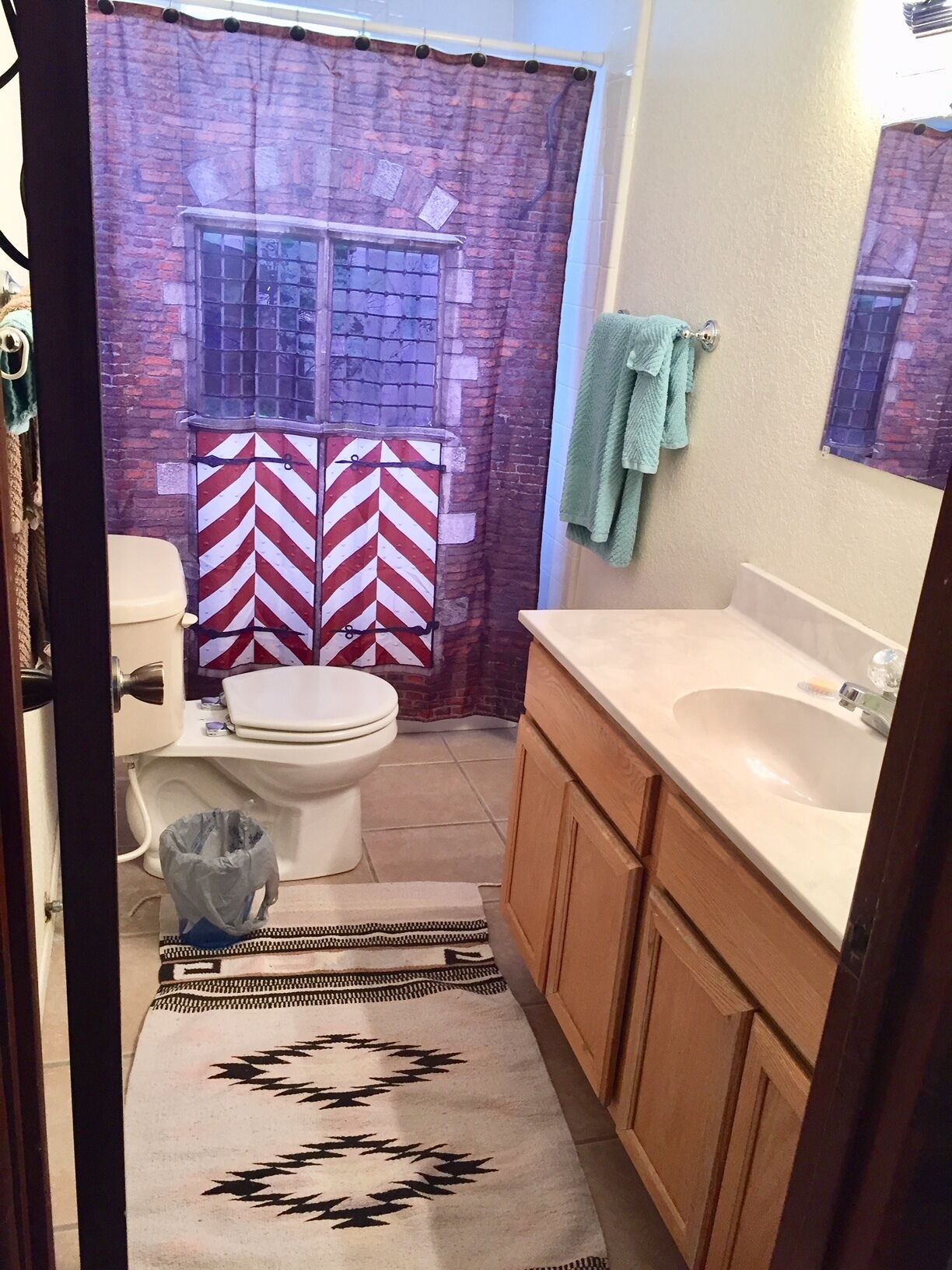 Shared space in quiet home with three dogs and a cat. Private bedroom & bathroom