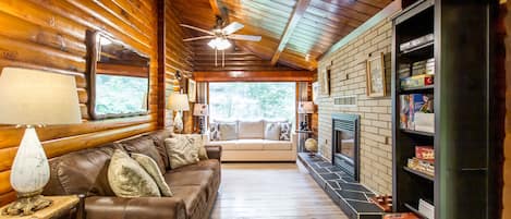 TV connectée, cheminée, Netflix, lecteur de DVD