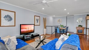 TV