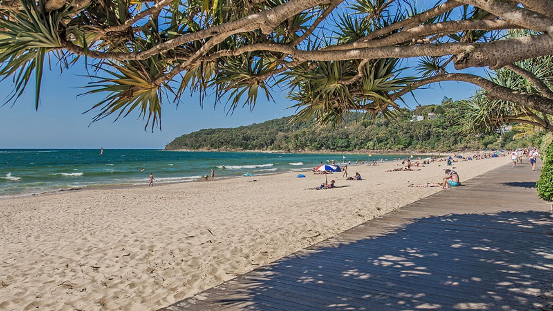 Sub Tropical Noosa Sound Living — image 18