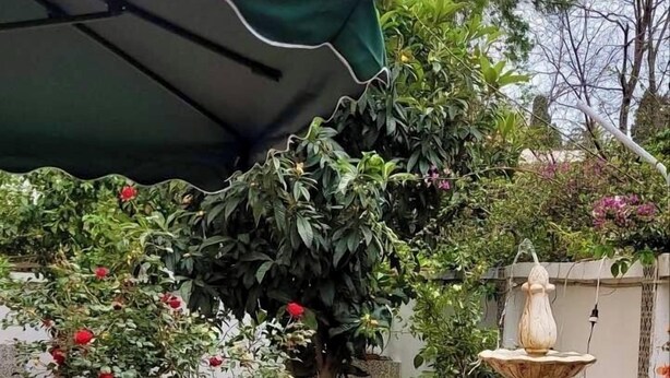 Une terrasse de jardin agrémentée d’un banc en pierre, d’une petite fontaine et d’une pergola surmontée d’un auvent verdoyant.