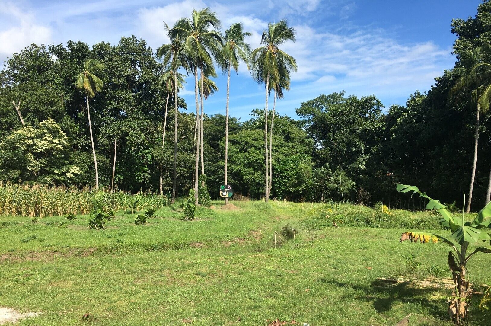 Property grounds