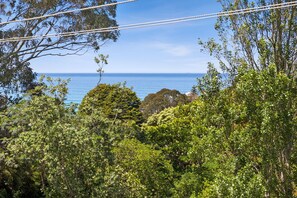 A coastal landscape with dense foliage and a clear view of the sea. - Tumbaramba (Wye River)